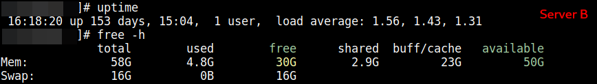 Free vs. Available Memory Server B