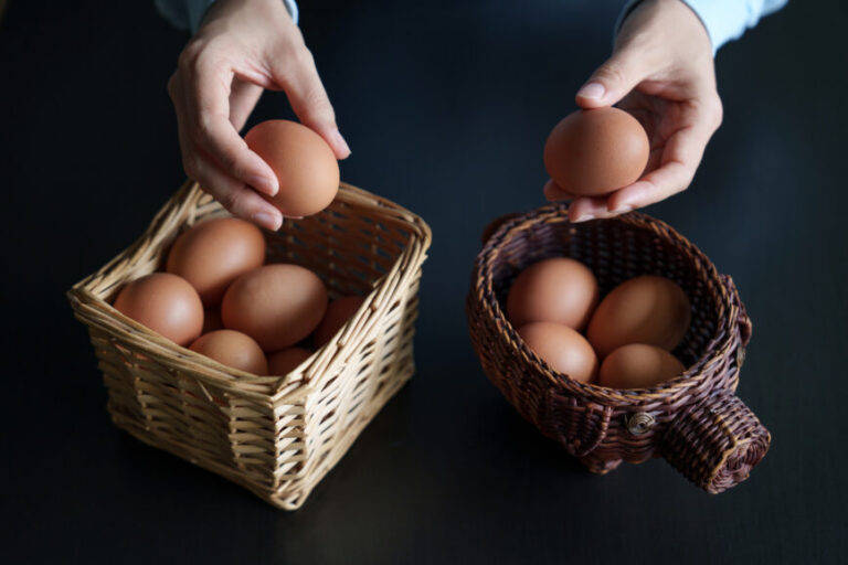 Entrepreneurship: Can You Afford to Put All Your Eggs in One Basket?