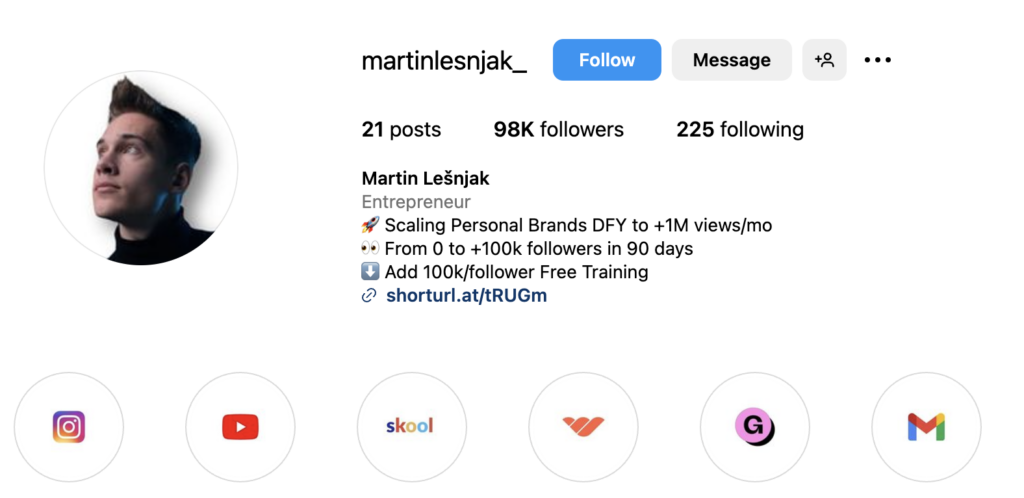 Martin Lesnjak's Instagram bio 