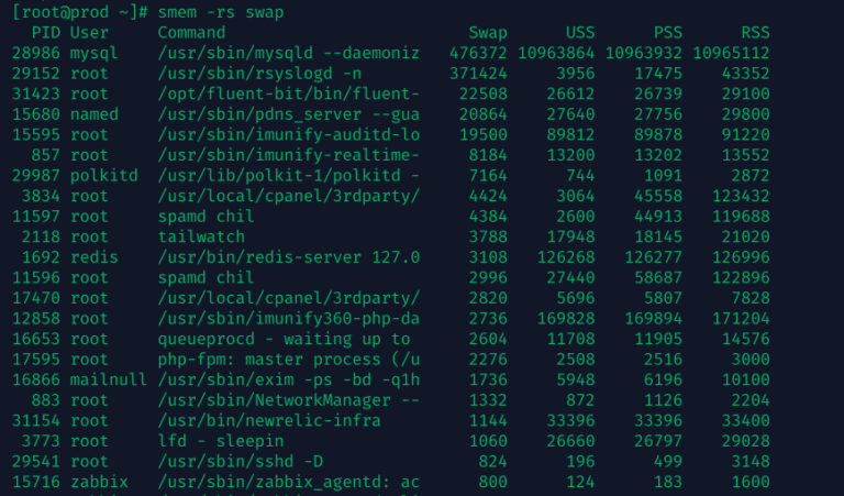 Diagnosing Swap Usage with smem on Linux