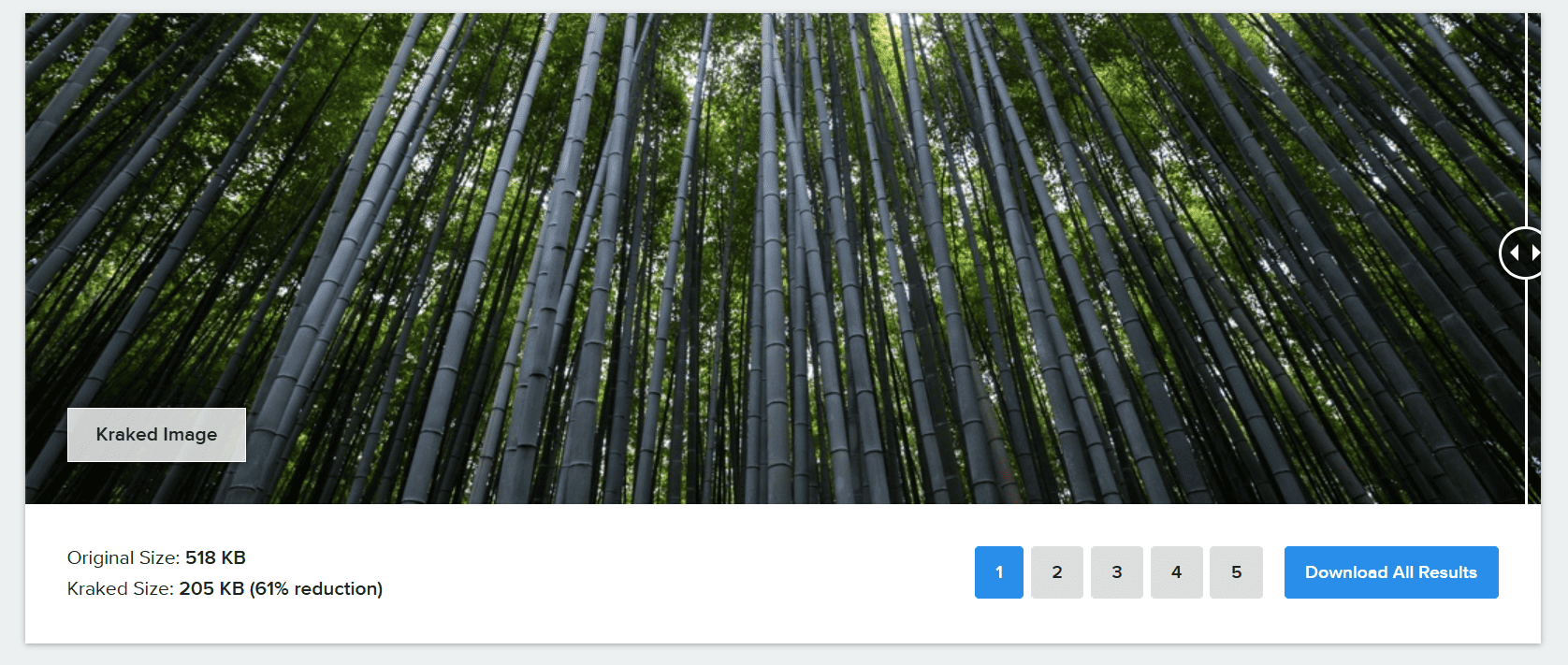 The Kraken.io image compression tool