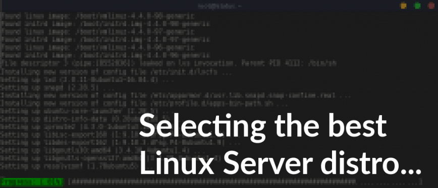 Linux server distro - selection guide