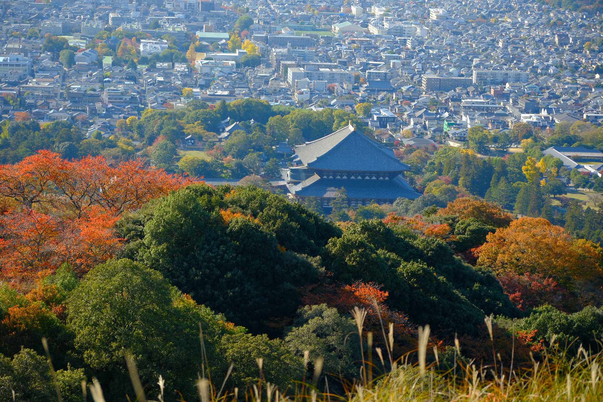 DrupalCon Asia in Nara, Japan