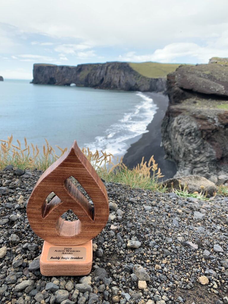 Community Working Group posts: Call for Makers: 2026 Aaron Winborn Award Design