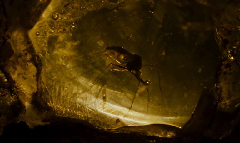 Immutable Linux Distros: Are They Right for You? Take the Test.