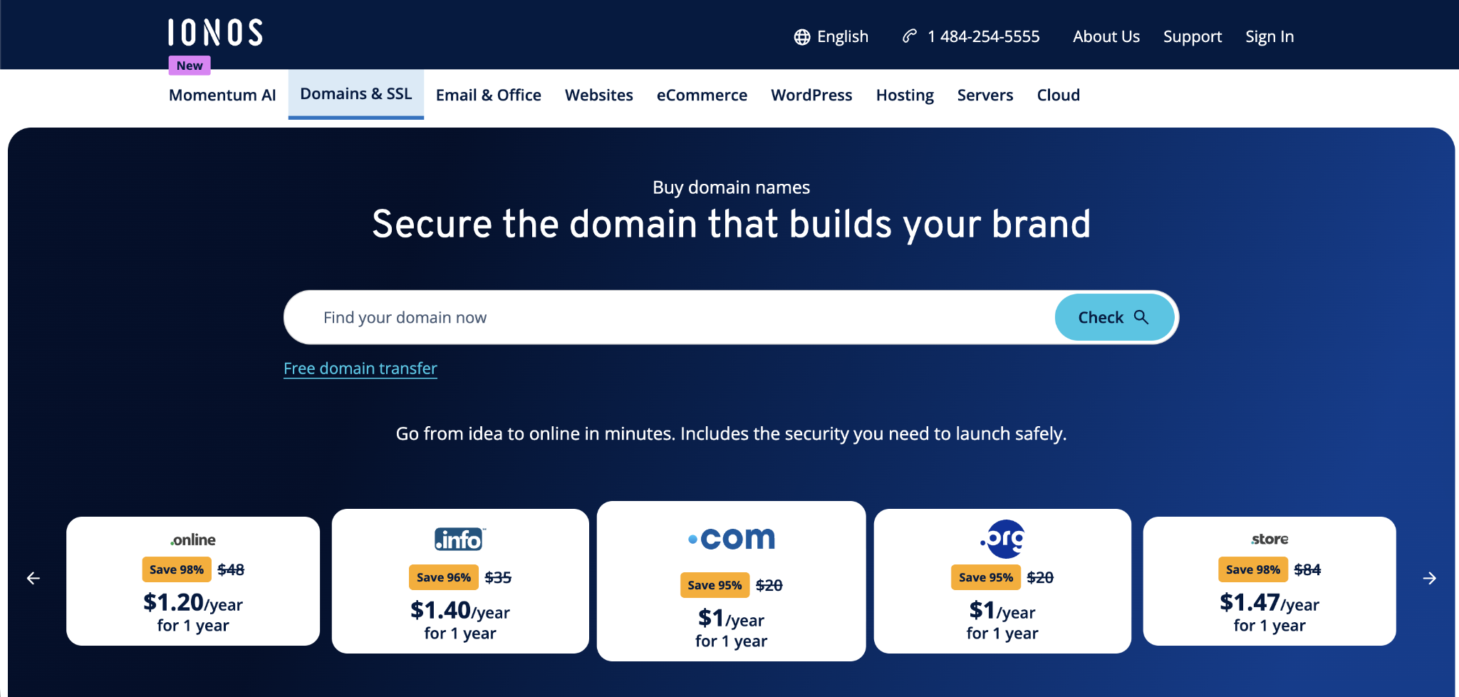 IONOS domains