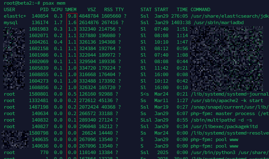 Terminal output of the psax mem bash function showing processes sorted by memory usage on a Linux server