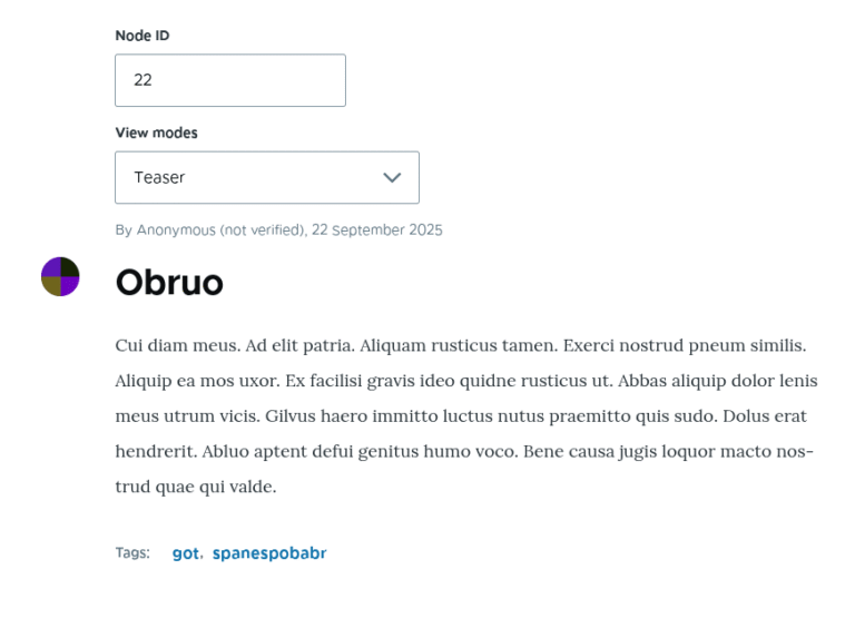 #! code: Drupal 11: Node Display Mode Preview Form