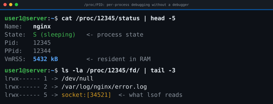 Debugging a process through /proc/PID without a debugger Terminal showing /proc/PID/status output for an nginx process and its open file descriptors under /proc/PID/fd