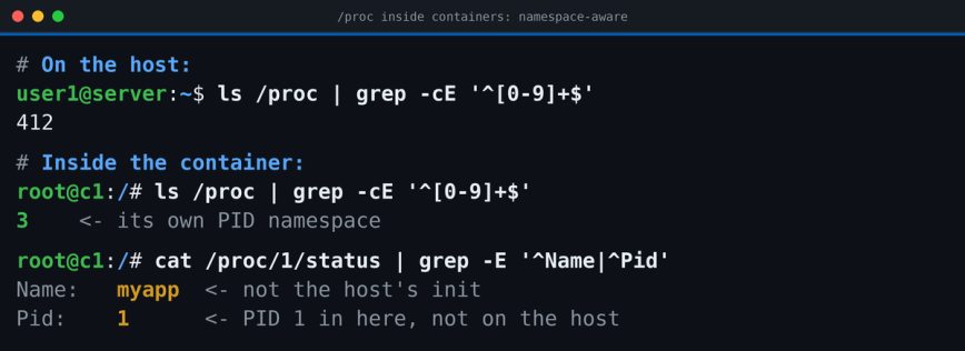 /proc inside containers reflects the container's PID namespace Terminal comparing /proc process counts on a Linux host versus inside a Docker container showing PID namespace isolation