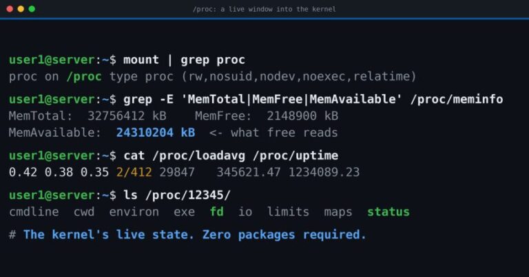 A Guide to Linux /proc Filesystem