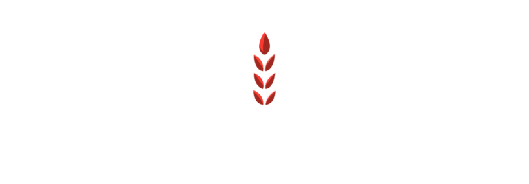 Gspikes: The 10 Drupal SEO Modules That Matter in 2026 — and How to Configure Each One Properly