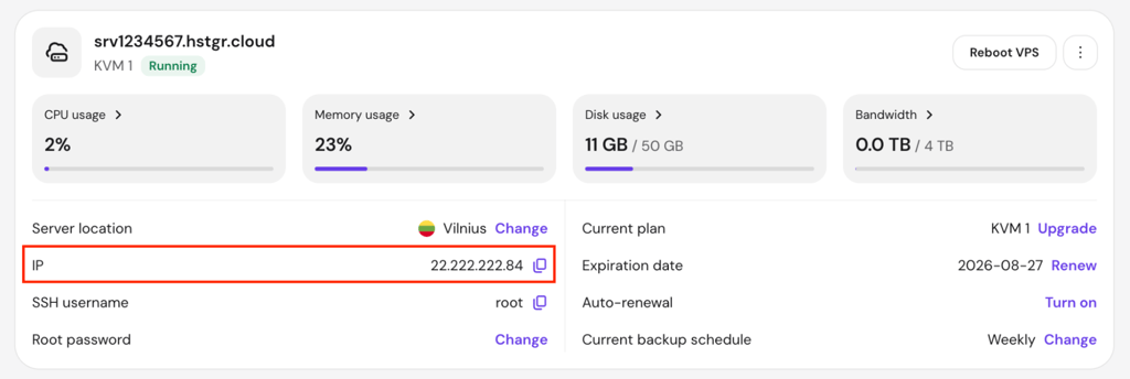 The IP information on hPanel's VPS