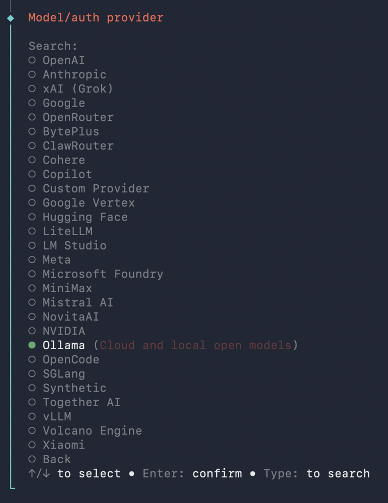 The Model/auth provider selection in the OpenClaw onboarding tool