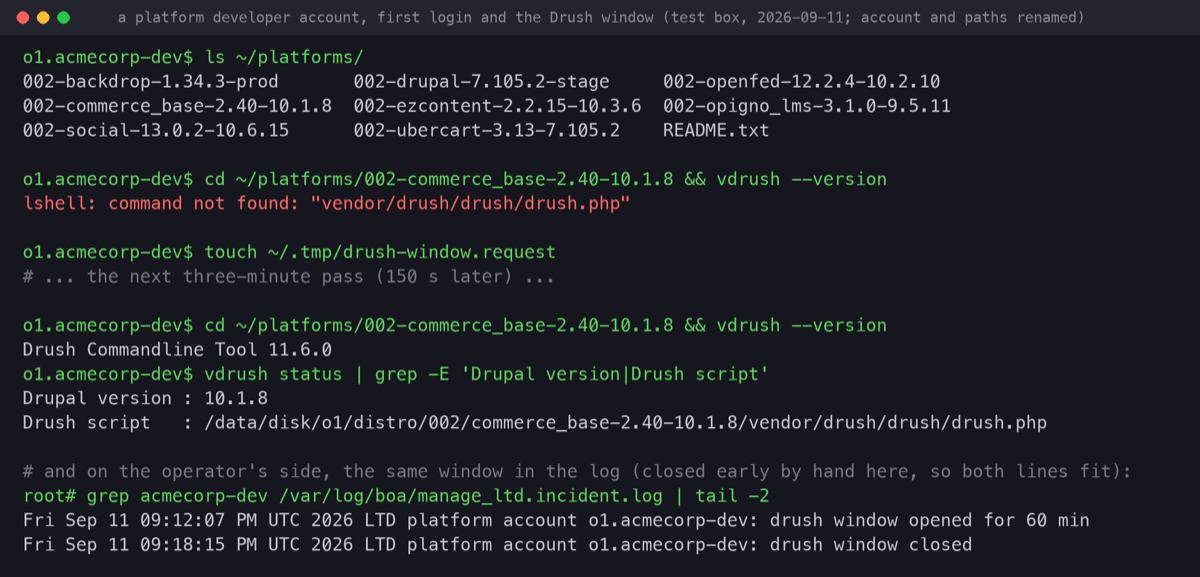 Terminal window with the real walk-through on a test box, account and paths renamed: the developer account lists its platforms folder with one link per codebase, asks the platform's own Drush for its version inside a Drupal 10 platform and is refused while the platform is locked, touches the request file, and after the next pass the same command prints the Drush version; below it the operator's grep of the log shows the window opened for sixty minutes and its closing line, the window having been closed early by hand for the walk-through