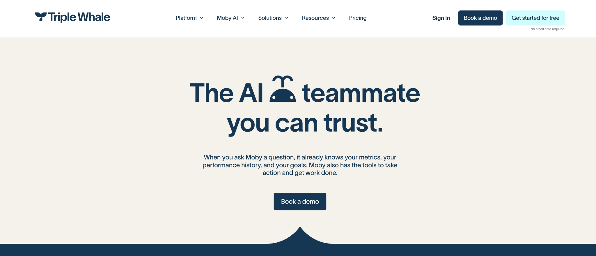 Triple Whale landing page
